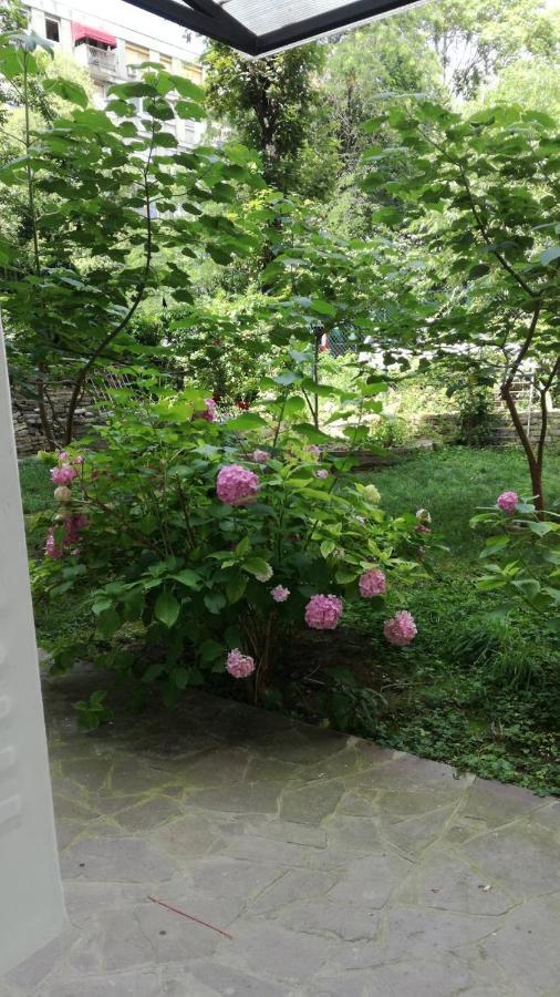 Vracar Krunska Jamiva Apartman Belgrád Kültér fotó